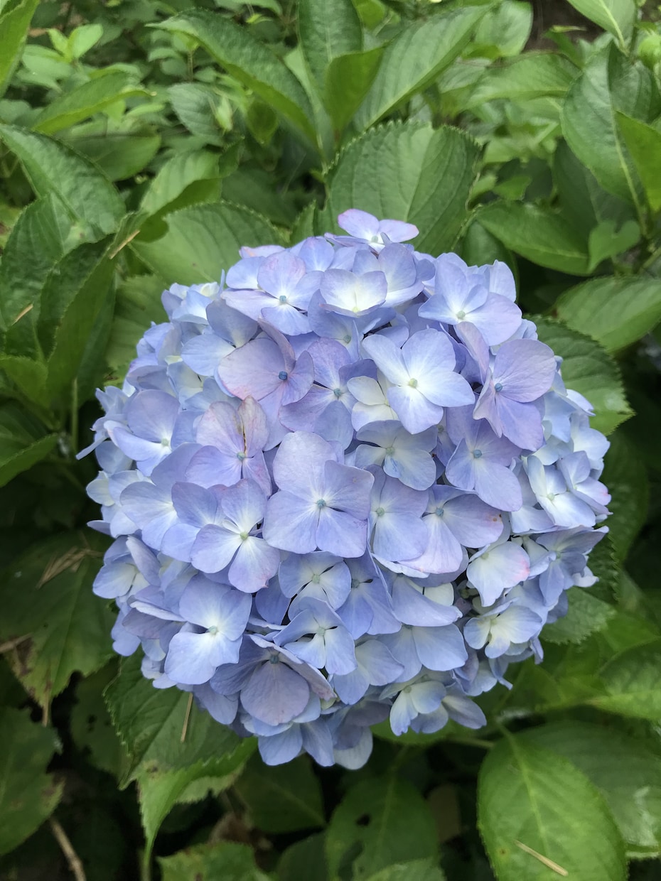 お話聞きます 鑑定しません！ただお話を聞いて心のモヤモヤが消えますように☆ イメージ1