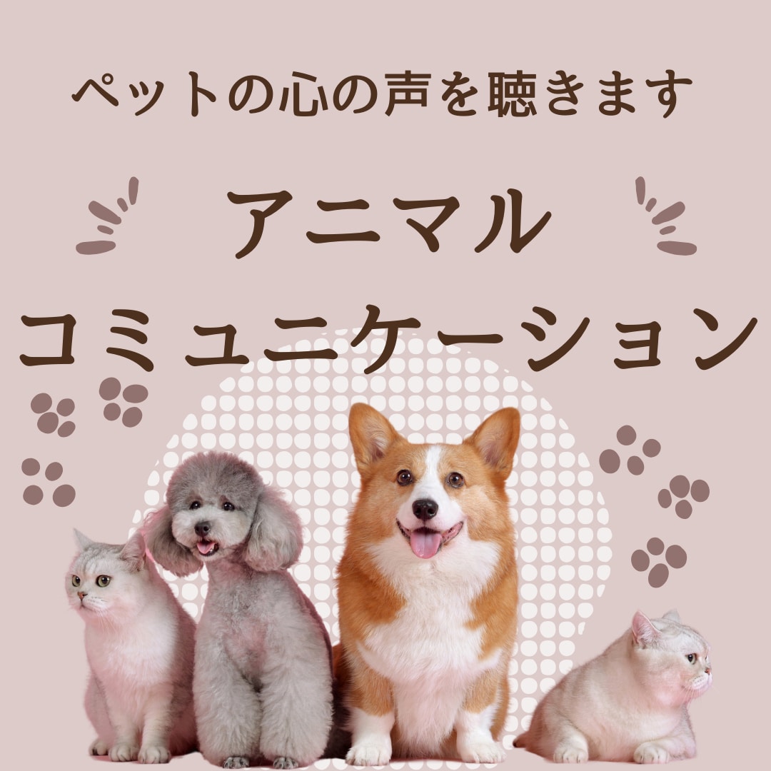 アニマルコミュニケーションで動物さんと会話します ペットに伝えたいこと・聞きたいことを代わりに会話致します！ イメージ1