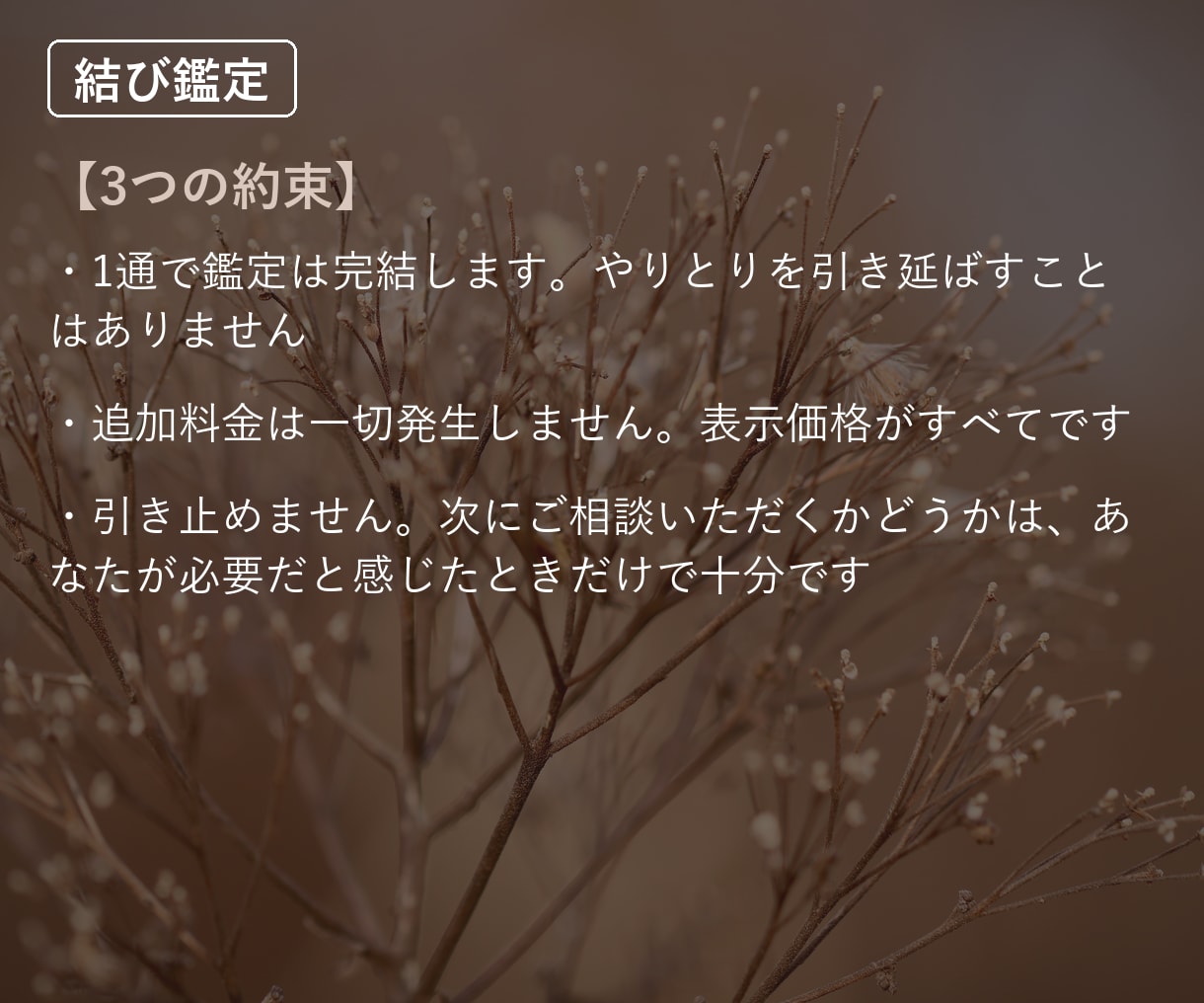 復縁｜待つか、動くか。道すじが見えます 連絡を待つべきか、動くべきか、決めきれない人へ イメージ4