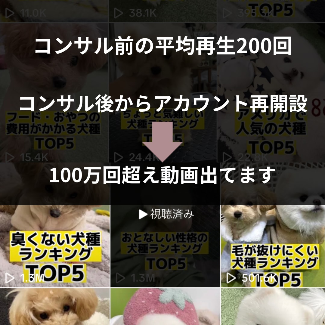 フォロワー17万人がTikTokコンサルします ノウハウを全てお伝えします。僕と一緒に企画を考えませんか？ イメージ3