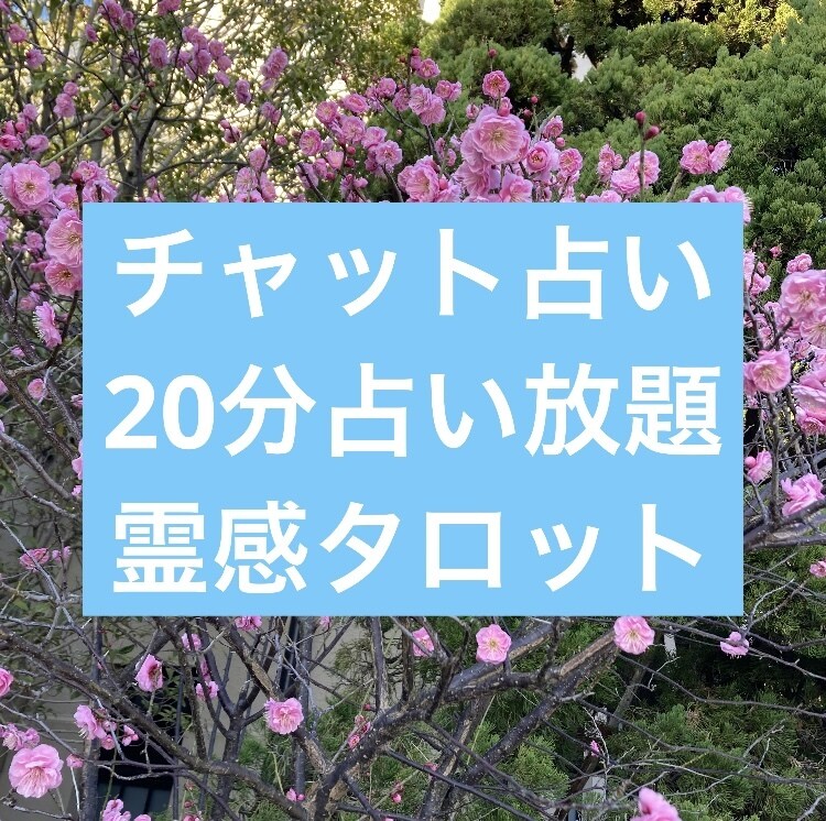 20分間占い放題をチャットでします 恋愛、仕事などなんでもご質問ください。開始時間合わせます。 イメージ1