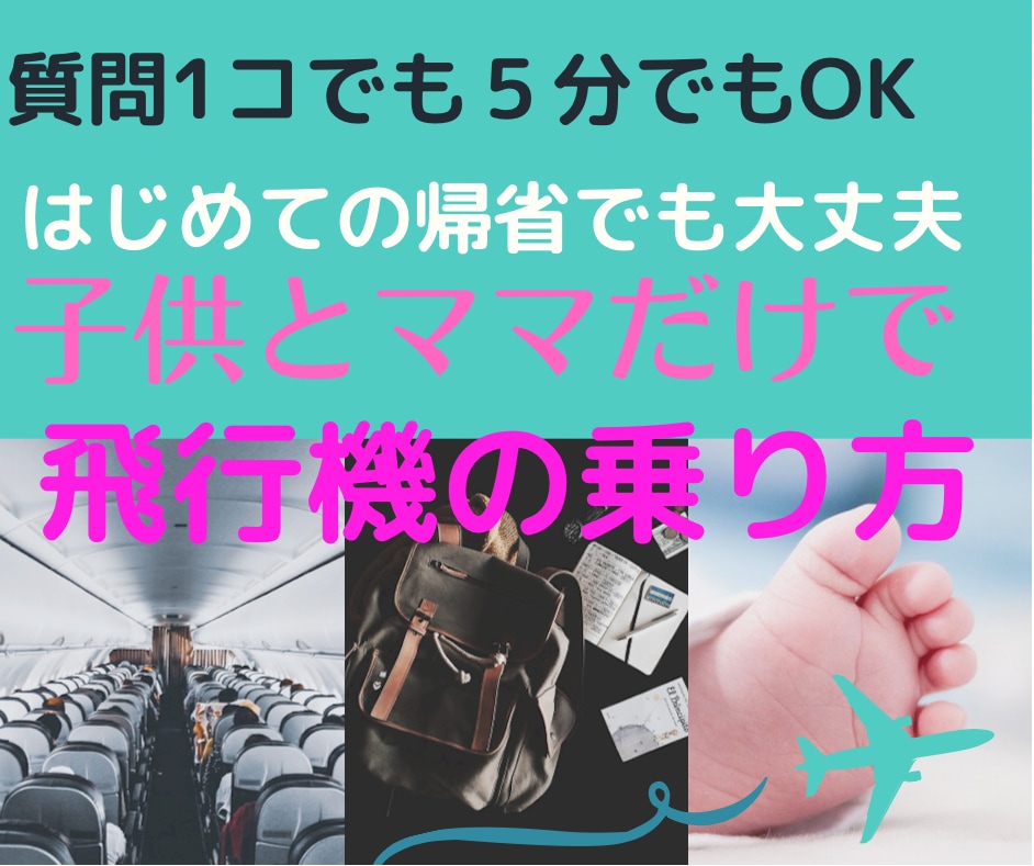 はじめての帰省『子連れで飛行機の乗り方』教えます ０〜１歳児ママさん必見☆安心して一人で子連れで飛行機に乗ろう イメージ1