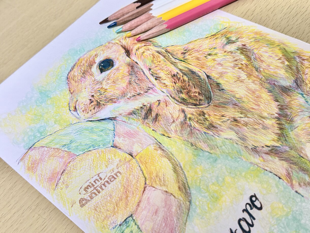 色鉛筆で大切なペットを描きます 記念日やプレゼントに！温かみのある絵を提供します♪ イメージ1