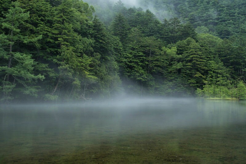 何事にもめげない折れないしなやかな心が身に付きます 心身一如/呼吸で心身を整えると、肚が整い、人生も整う イメージ5