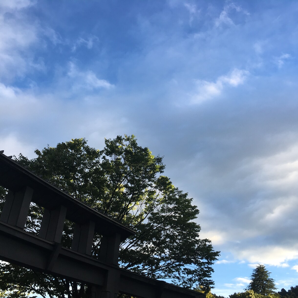 愚痴聞きます♪片思いなどの恋の悩み、恋人・夫婦間の悩みなど…マイナスの感情を手放してみませんか？ イメージ1