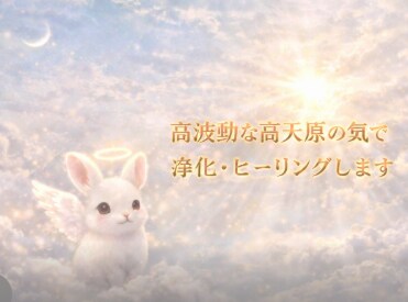 高天原の✨『気』✨で浄化☘️波動調整します 匿名評価✨（生年月日不要/人間関係/空間浄化など）✨ イメージ2