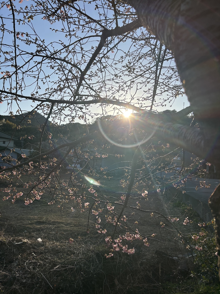 看護師歴41年！あなたの愚痴聞きます 笑顔で対応。でも本当は辛い・・・そんな気持ちを受け止めます イメージ6