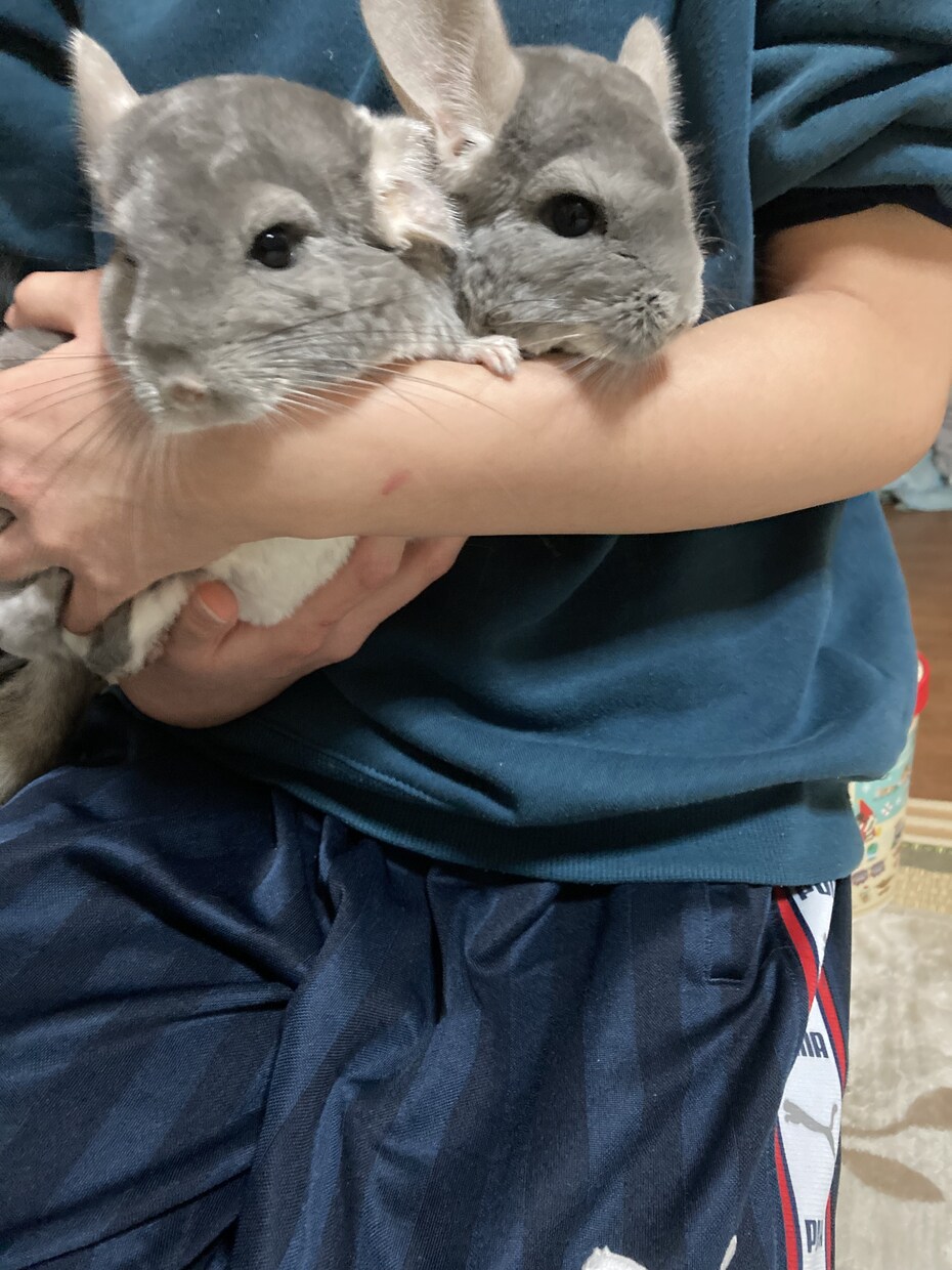 どんな悩みでも聞きます 全て吐きだして、軽い気持ちで笑える明日へ イメージ1