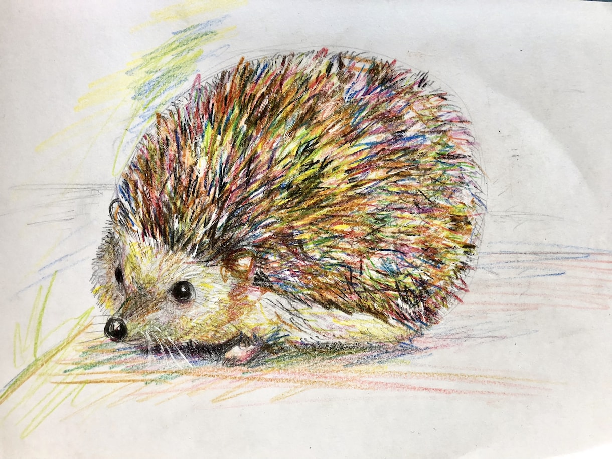 あなたの大切なペットをカラフルに描きます 【世界で一つの宝物に！】美大生が心を込めて描きます イメージ3