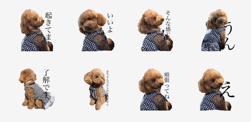 ペットやお子様の写真からLINEスタンプ作成します 8個3500円〜♪かわいい写真をスタンプで自慢しちゃお〜☆ イメージ2