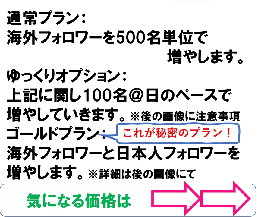 インスタ☆彡【フォロワー】+500人します Instagram/フォロワー/秘密プラン/780件の実績 イメージ2