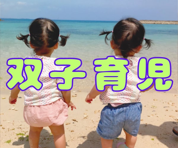 想像以上に大変な双子育児の悩みに寄り添います 3枠限定価格！公認心理師・保健師・保育士資格を持つ4児母です イメージ1