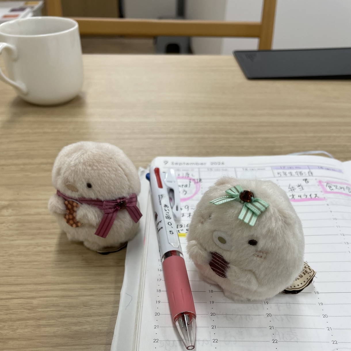 あなたのぬい活応援します ぬいぐるみ活動の報告を3日間500円で聞きます イメージ4