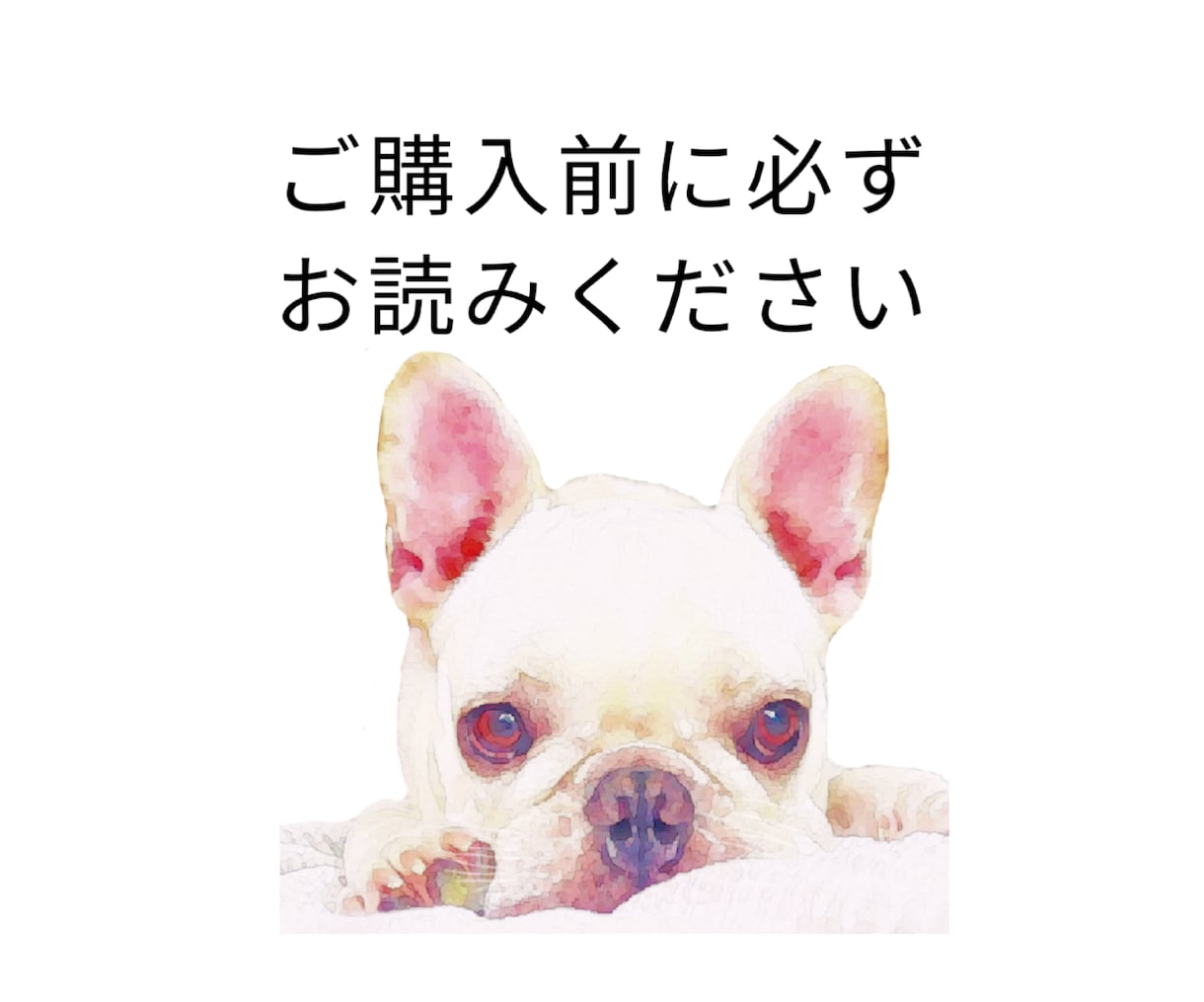 ご購入前に必ずご一読ください。よろしくお願いします ご購入の際の注意事項です。お手数ですが必ずご一読ください。 イメージ1