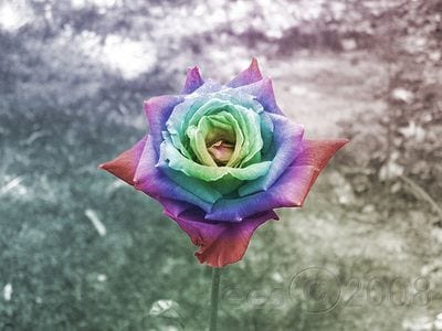 創作のお題考えます 創作はしたいがネタが思いつかないあなたへおすすめです！ イメージ1