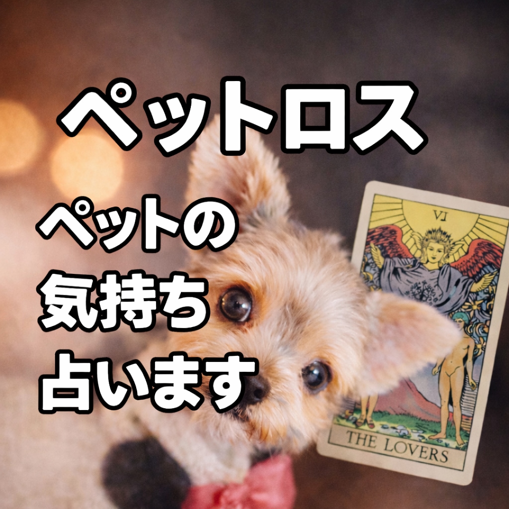 虹の橋のあの子の気持ち、はっきりお伝えします 今どう感じているのか。あなたに伝えたい想いを丁寧に視ます。 イメージ1
