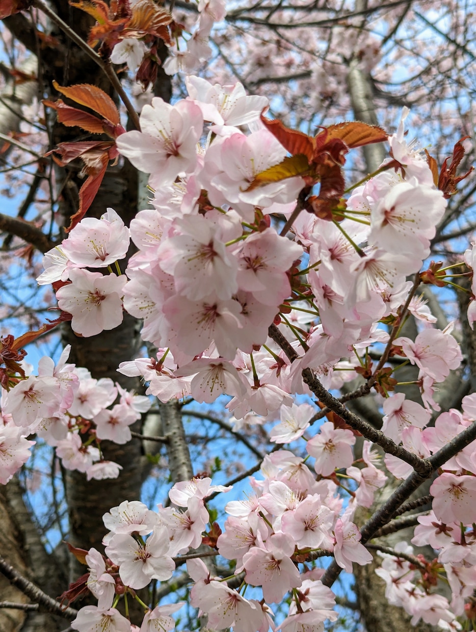 占い師がこれまでの経験を活かし、恋愛のお話聴きます 行動する時期なのか、待つ時期なのか、【判断】が大事です。 イメージ1