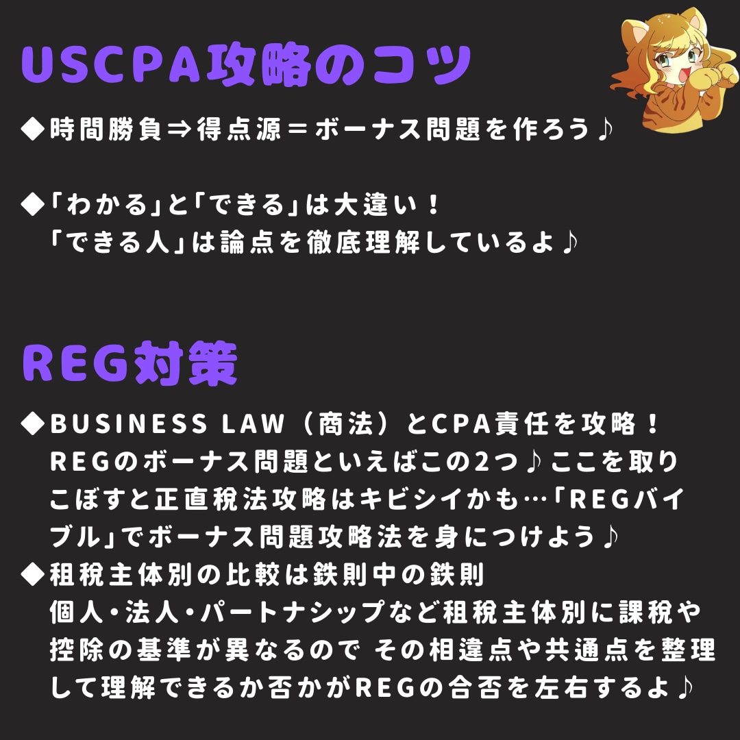 USCPA合格者がREG攻略ノートを販売します 7ヶ月でUSCPA全科目合格のノウハウを凝縮した完全攻略本 イメージ2