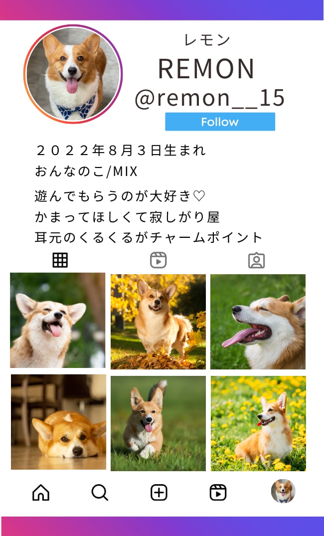 Instagram風デザインうちの子名刺を作ります ＋2000円で100枚(送料無料) イメージ3