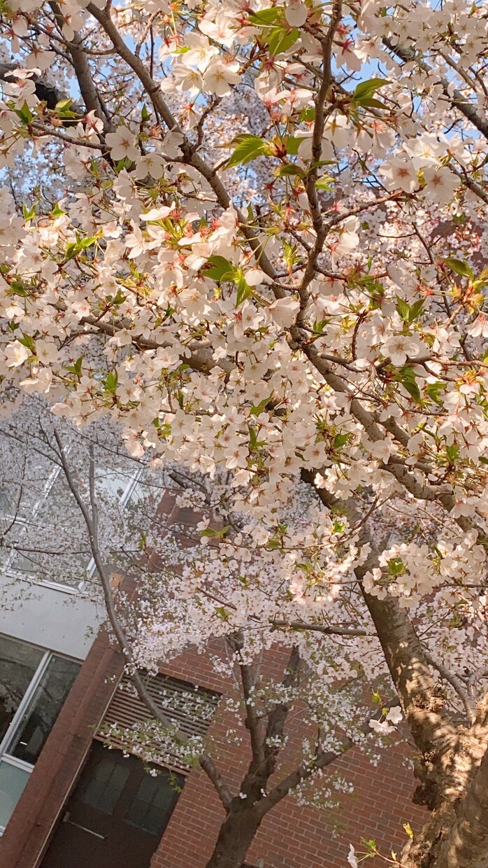 悩んでること相談のります 悩んでることありませんか？誰にも相談出来ないなら私が聞きます イメージ1