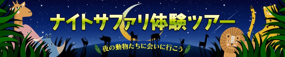 ワクワクするバナーをデザインします シンプルから個性的まで。おっ！と目を惹くデザインをお届け イメージ6