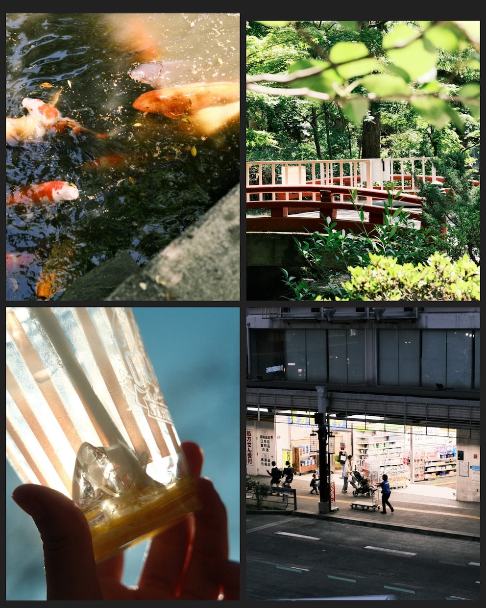 即納品から新規撮り下ろしまで写真提供致します 写真歴7年【手軽に、気軽に、低予算で】 イメージ4