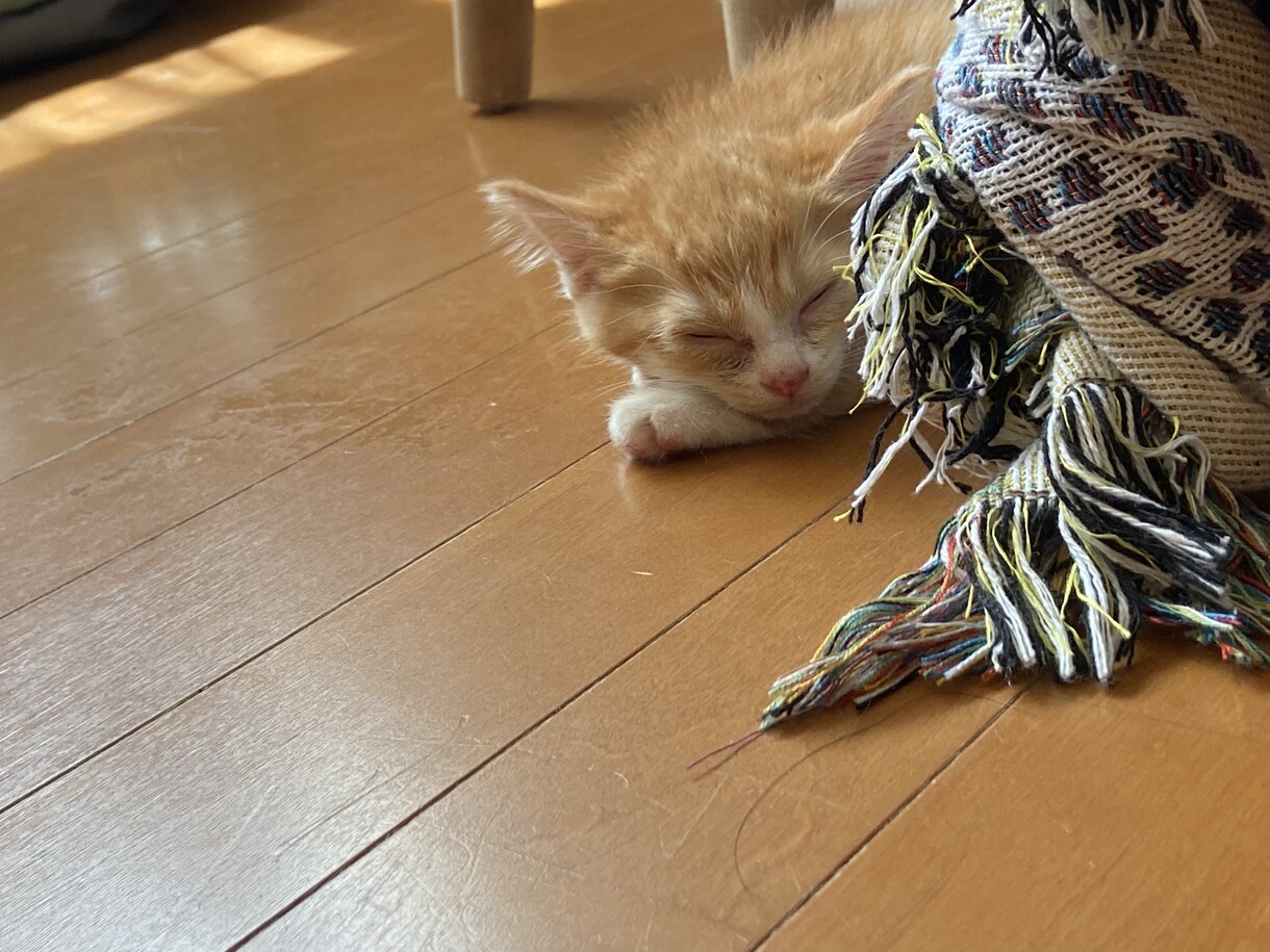 初めての出品です（笑）話し相手になります 小さな悩み事でも是非！楽しく話しましょ！ イメージ2