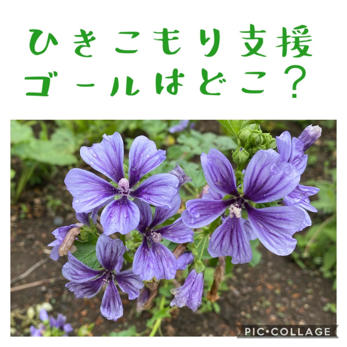 不登校・ひきこもり・子どもの暴言・相談承ります 専門資格保持者が「不登校やひきこもりの悩み」にお答えします。 イメージ2