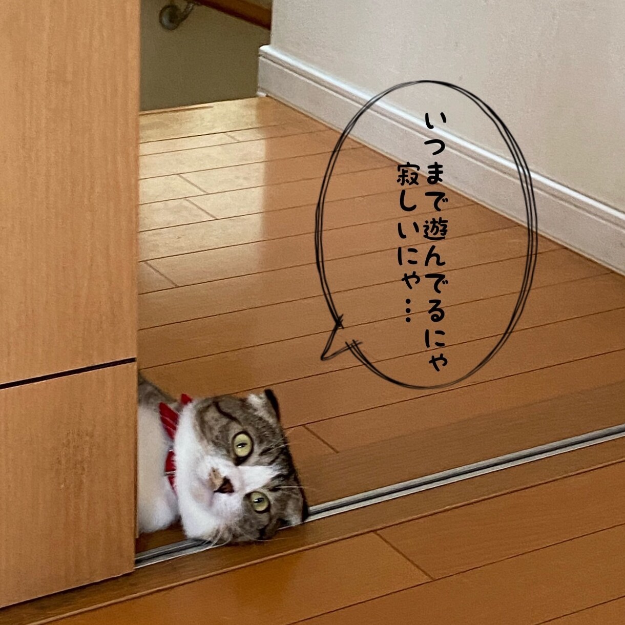 ペットの困りごとしつけなど小さなことまで相談します 動物専門学生、資格保有者が真剣に誰でも出来る方法を教えます イメージ1
