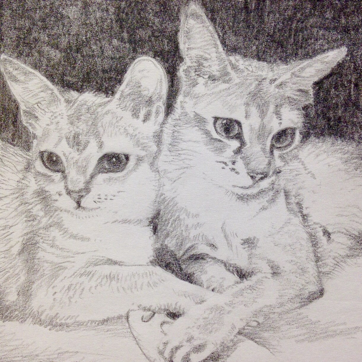 写真を元に鉛筆画を描きます 柔らかなイラストで思い出を閉じ込めませんか。 イメージ2