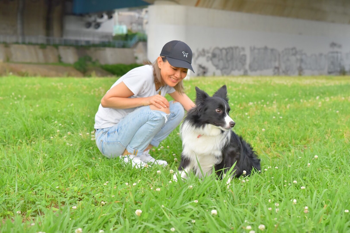 ワンちゃんの相談全般（個人の方向け）受けます ドッグトレーナー&出張トリマー酒匂優海@犬ユウが答えます！ イメージ3