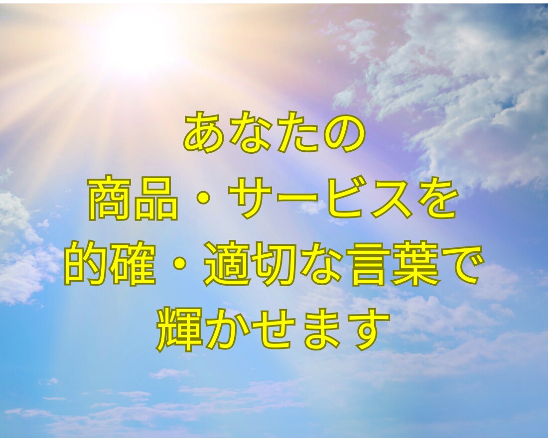 セールスレター作成の悩みをただちに解決します あなたの商品・サービスを的確・適切な言葉で輝かせます イメージ2