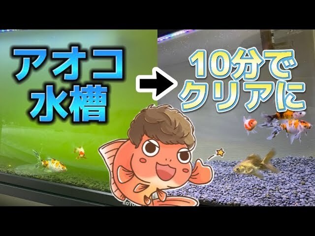 動画編集会社が10月まで格安で動画編集を行います ココナラ新規出店！割引価格でご案内中！ イメージ3