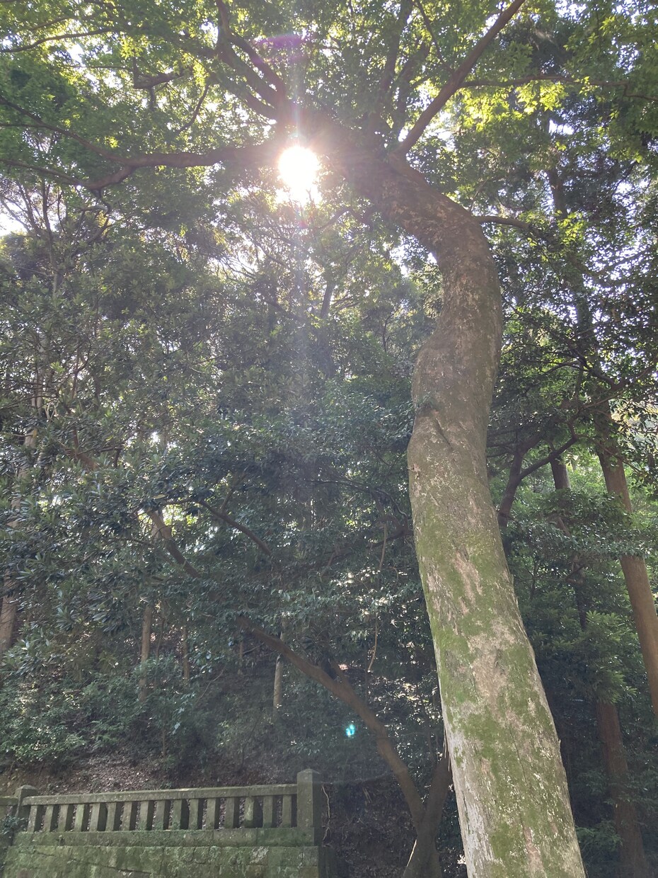 女性の同居、介護の愚痴聞きます 誰よりも優しく傾聴させて頂きます。 イメージ1