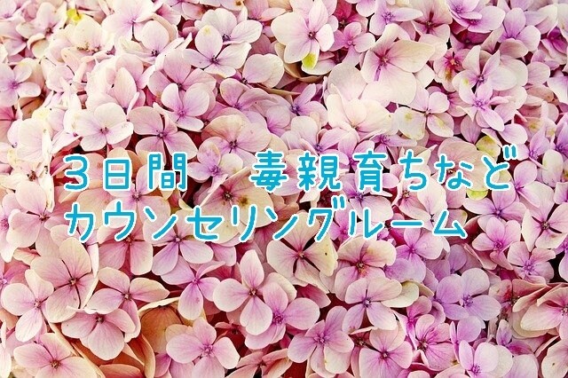 毒親に心が縛られて苦しい方、お悩み聞きます LINE感覚で３日間文字のやり取りし放題！ イメージ1