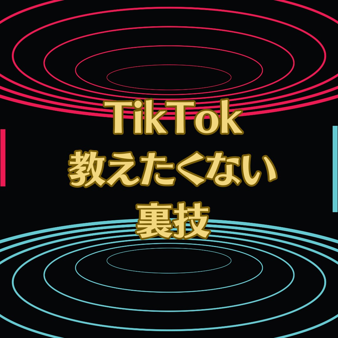 誰も教えない！㊙️最終！完全マニュアル教えます TikTokティックトック超初心者でも大丈夫完全版！ イメージ3