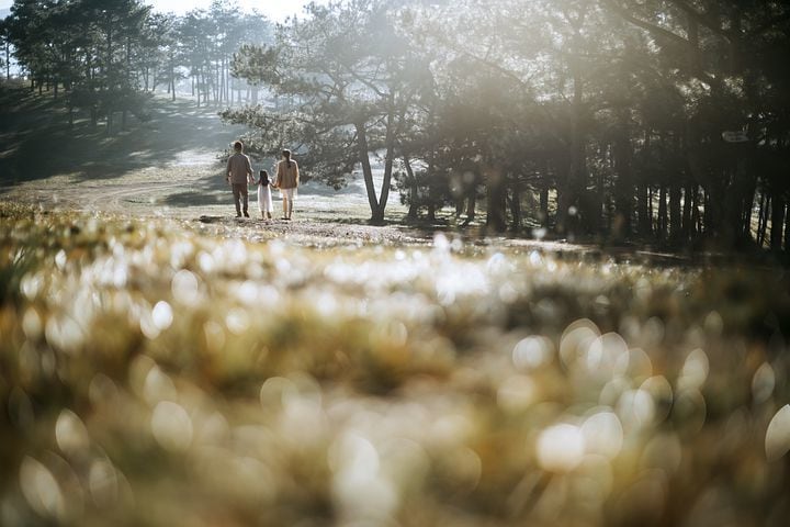 あなたの『強み』の言語化サポートします まだ気づけていない強みを理解して今後のキャリアに活かそう！ イメージ3