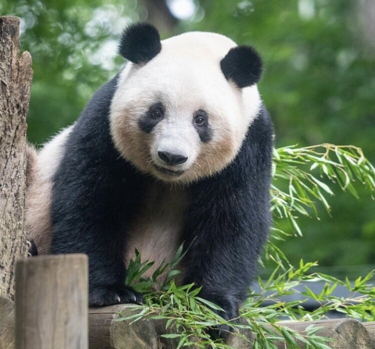 中国語　初級レベル　教えます 中国語初級者向け！ＨＳＫ5級取得の現役学生が教えます！ イメージ2