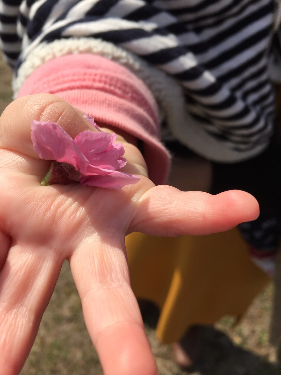 あなたの愚痴、悩み聞きます 私で良ければ聞かせて下さい！！ イメージ3