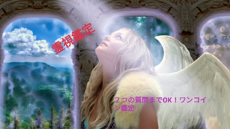 ２つの質問までＯＫ☆お悩み全般、霊視鑑定致します ＹＥＳかＮＯで答え、メッセージをお伝えします☆ワンコイン鑑定 イメージ1
