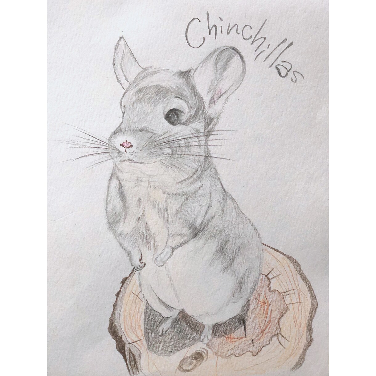 イラスト作成します オリジナルイラスト作成します♪ イメージ4
