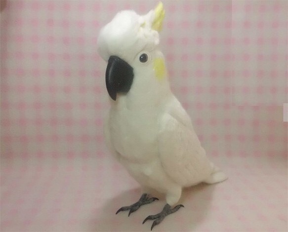 あなたの愛鳥をモデルに羊毛の小鳥を制作します 自分の愛鳥グッズを諦めていた方必見！ボウシ・バタン・ヨウム等 イメージ2