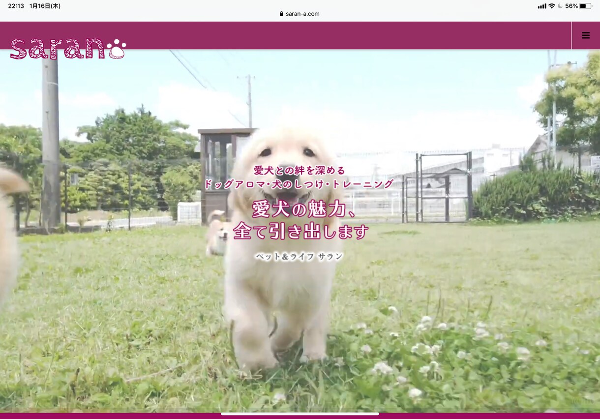 公認訓練士が愛犬でお悩みの方に寄り添います 愛犬の魅力を全て引き出します！ イメージ1