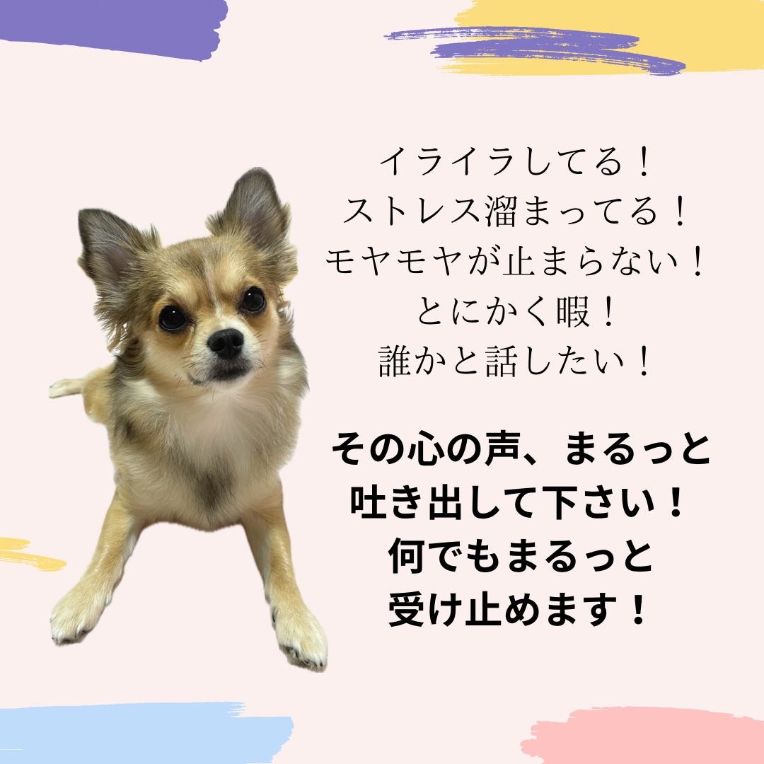 とにかく話したい人！何でも聞きます 今の気持ちまるっと受け止めます♪安心して何でも話して下さい イメージ2