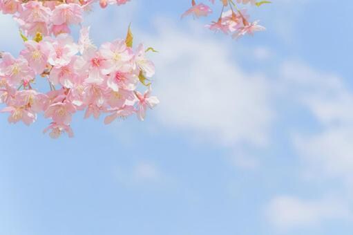 あなただけのメッセージを宇宙から受け取ります 神秘の結晶マカバスターと共に、あなたの魂を深く癒やします イメージ1