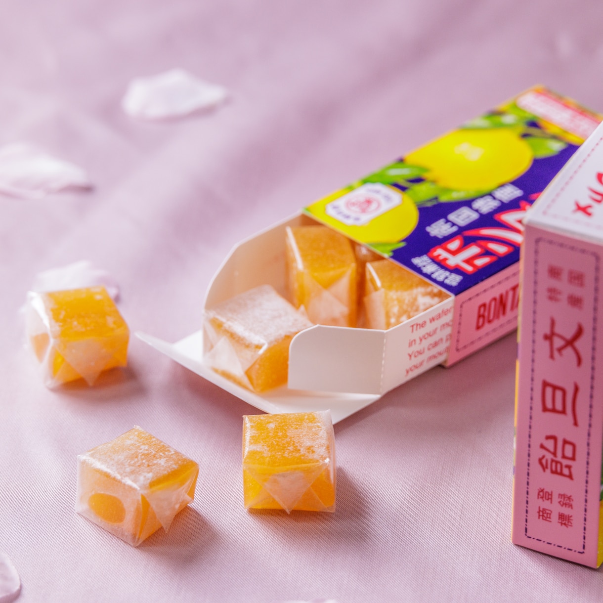 プロの技術で、最高品質の写真コンテンツを制作します ～貴方の魅力を引き出す、最高の一枚を～ イメージ5