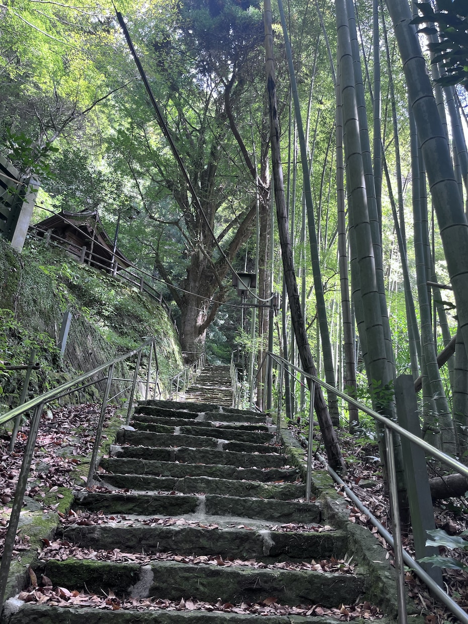 不安が強い方、不安の解消お手伝いします 不安から息苦しさ、動機、めまい、吐き気、汗、口の乾きがある方 イメージ5