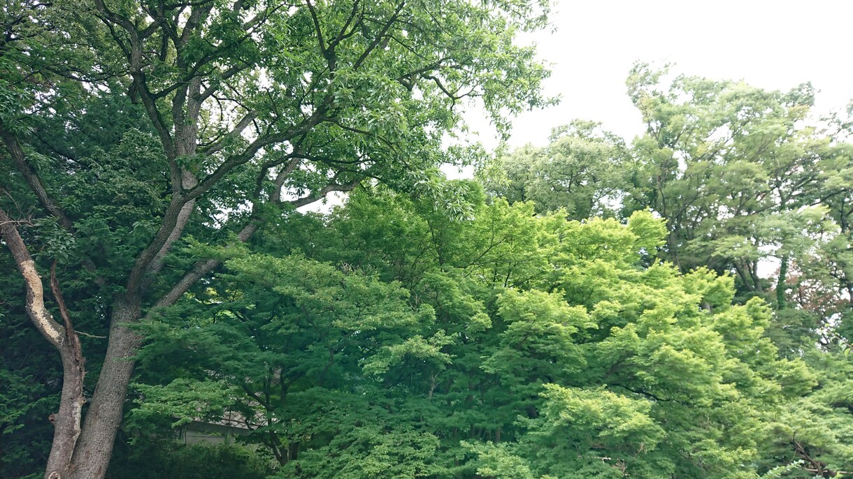 神のお告げと東洋占星術のハイブリッド占いを致します 神のお告げと東洋占星術の紫微斗数占いの秘伝と合わせた占いです イメージ1