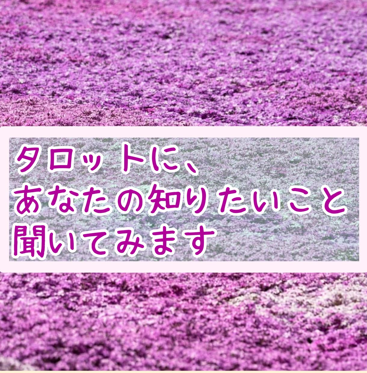 お話を聞きつつ、タロット占いをします 簡単なタロット占いをしながら、お話を丁寧に聞きます。 イメージ2