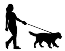 犬の問題行動相談にのります 個性重視でワンちゃんに合わせた方法で改善を イメージ2